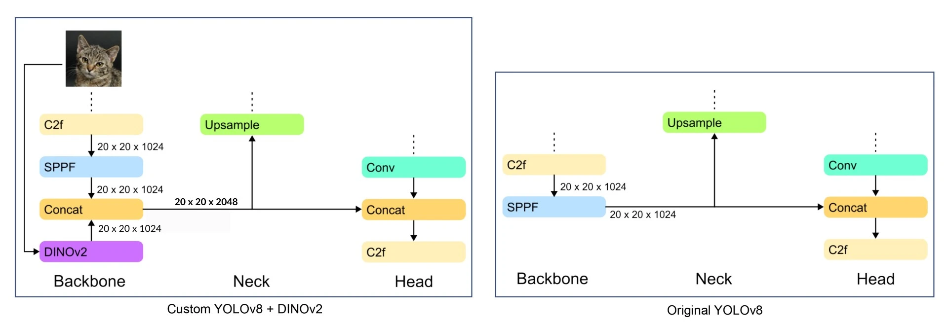 yolov8_dinov2_architecture_comparison